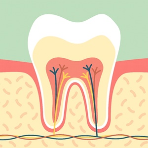 Diagram from Naperville pediatric dentist of dental pulp