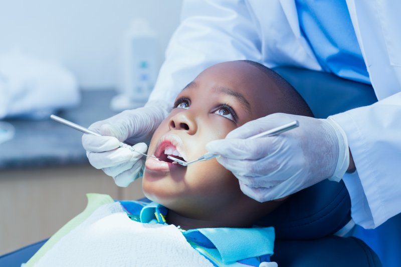 Dentist examining child's teeth and gums at dental checkup